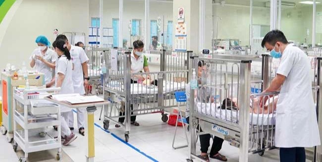 2 trẻ ngộ độc do gia đình hái nhầm lá hoa thủy tiên nấu cháo