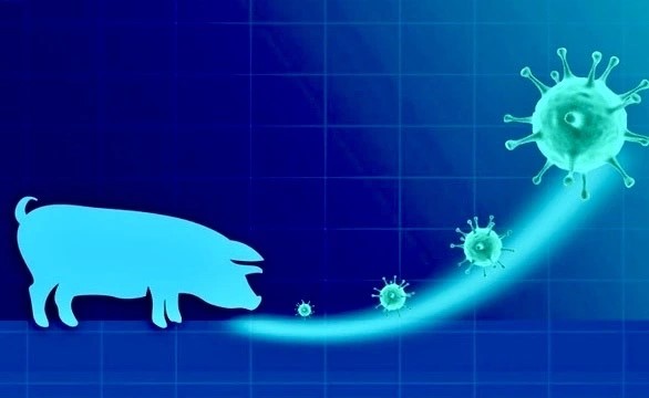 4 ca nhiễm cúm A/H1pdm tử vong, nguy cơ virus mới