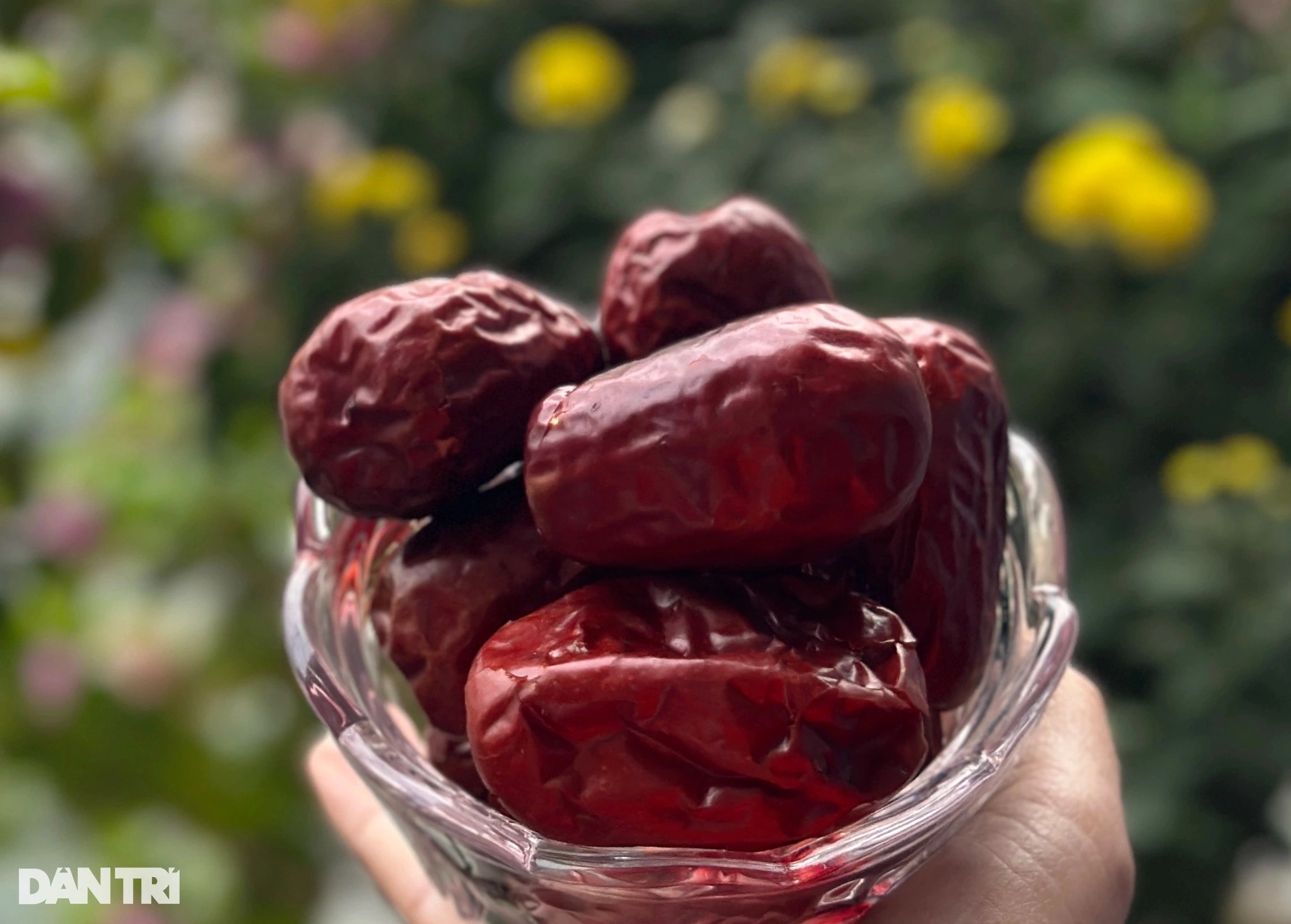 Ăn nhiều táo đỏ lợi hay hại?