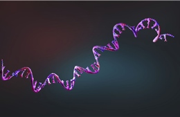 Trí tuệ nhân tạo: AI phát hiện hơn 160.000 loại virus mới
