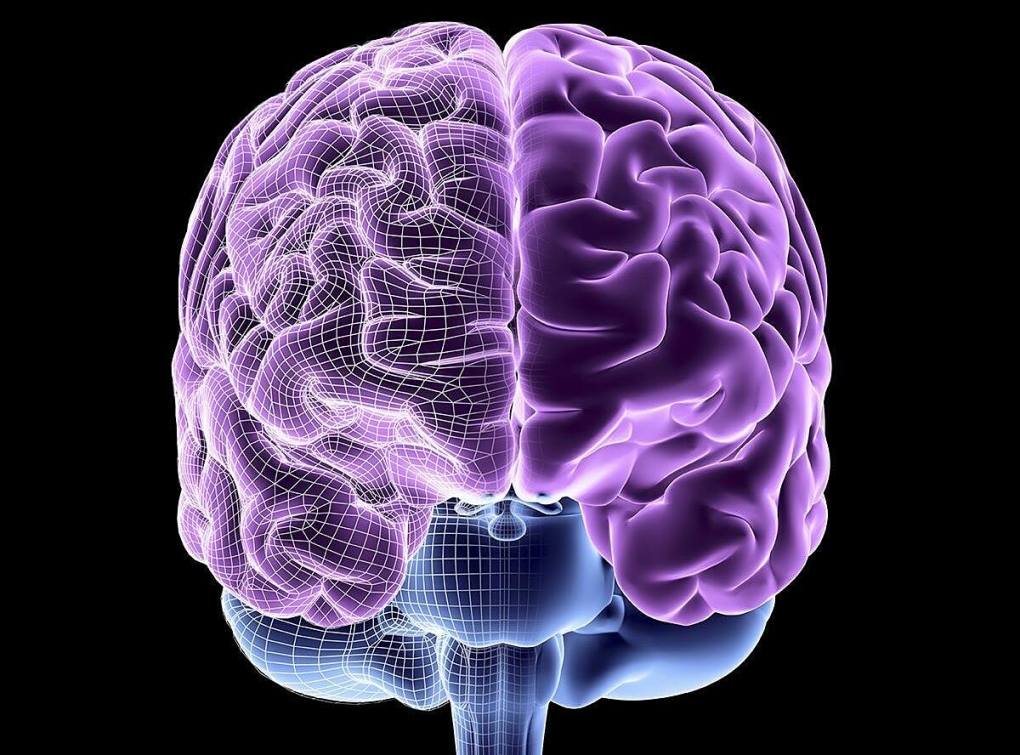 Độ tuổi bộ não bắt đầu lão hóa